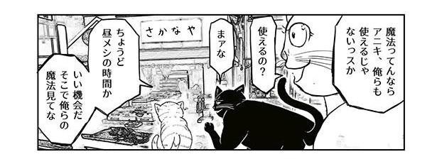 猫の日 猫は人間に魔法をかけている 私もかかってるかも 猫が使う魔法を描いた漫画に妙に納得 ウォーカープラス