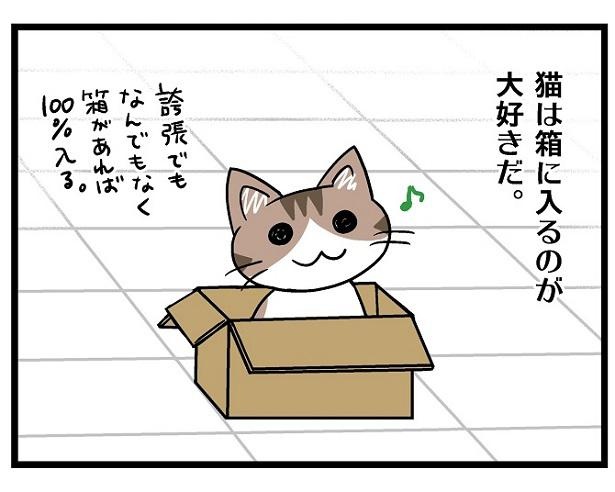 漫画】共感度120％！箱を見つけて喜ぶのは人間も!?猫様へ献上する“箱 