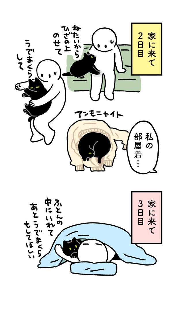 家に来た時のろんさん3