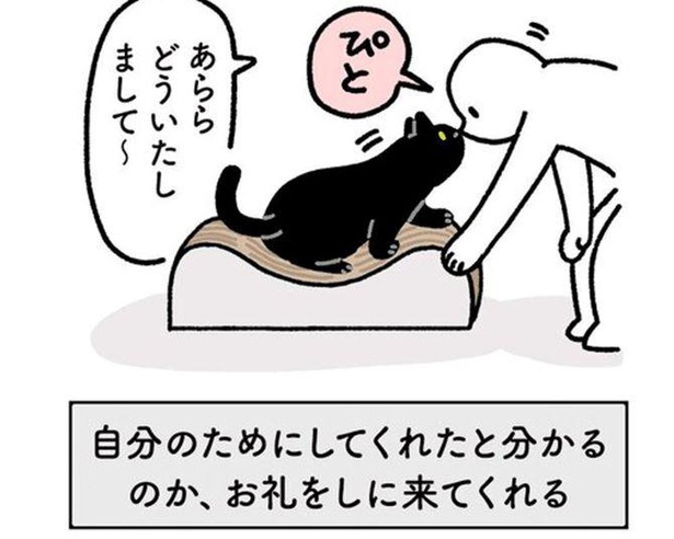 お手伝いしてくれた飼い主へのお礼がかわいすぎる！