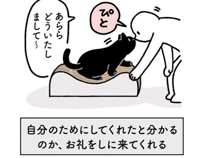 【漫画】「ありがとう」を“鼻チョン”で伝える姿に悶絶！保護猫・ろんさんの日常がかわいすぎると話題に