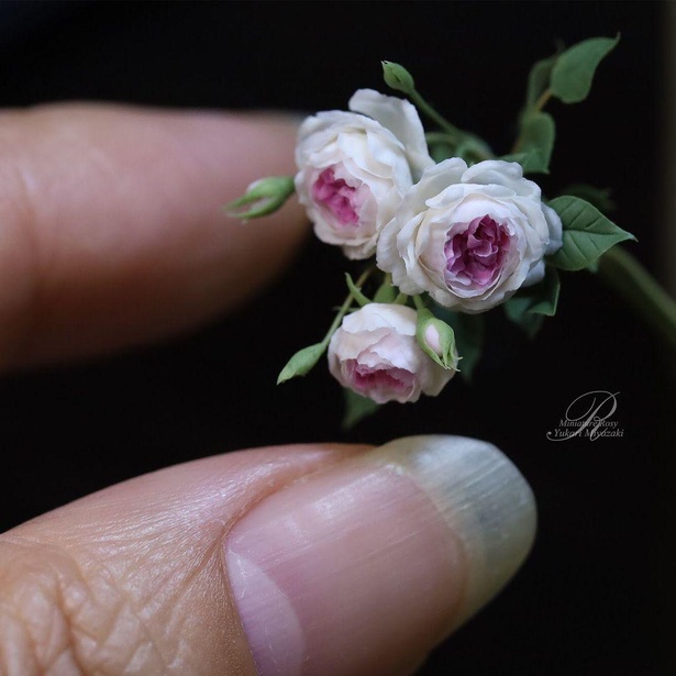 本物より美しい!?ロゼット咲きのバラを細部まで表現