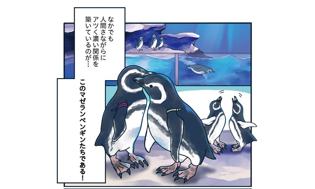 うぶすぎる恋に熱視線！想いが届くのは一体いつ!?「下町ペンギン物語」第一話(3/10)