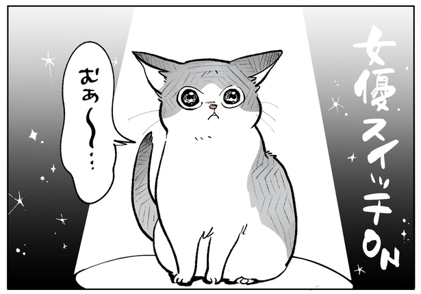 「こねこのドレイ5」より