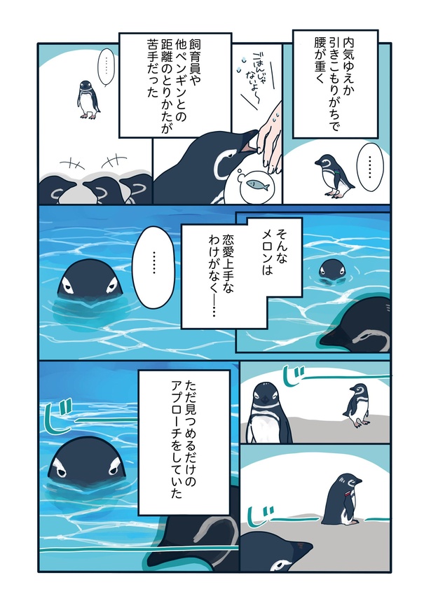 男性不信ならぬペンギン不信…恋の傷は癒えるか!?「下町ペンギン物語」第五話(3/4)