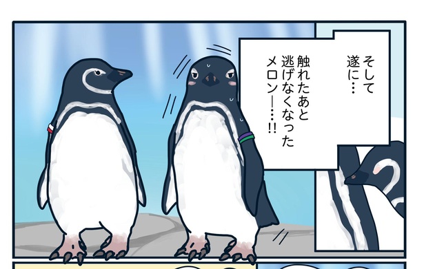  超奥手なペンギンの独特なアプローチ法「下町ペンギン物語」第六話より