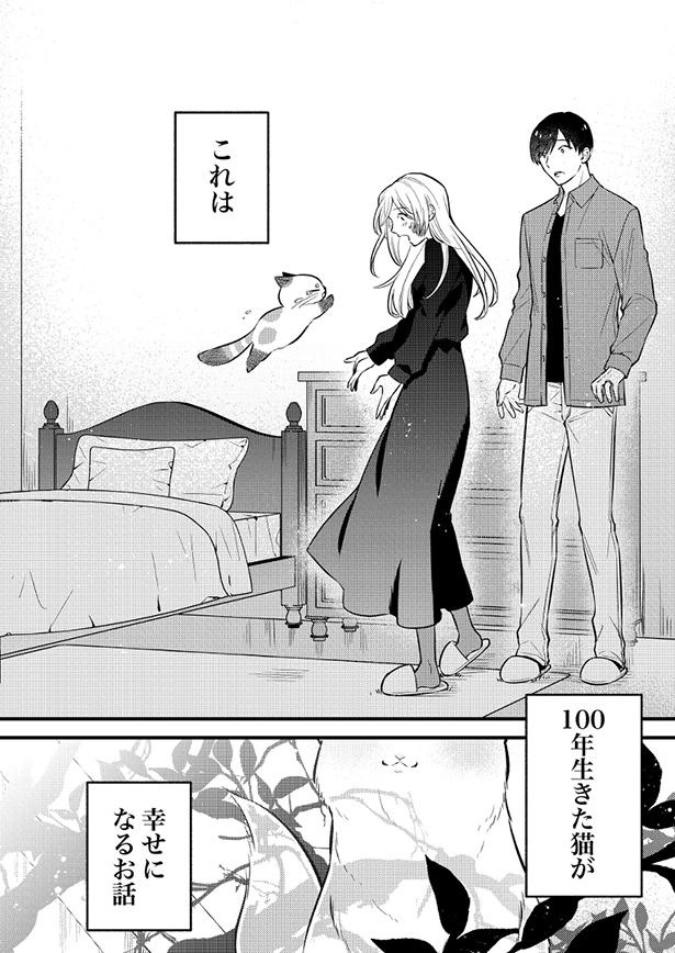 ■画像をクリックで次へ！／100年生きた猫のはなし_18