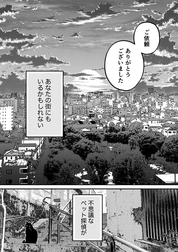 ■画像をクリックで次へ！／迷い猫専門の不思議なペット探偵(迷猫探偵)_31