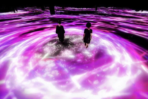 【写真】「人と共に踊る鯉によって描かれる水面のドローイング - Infinity」は桜バージョンに