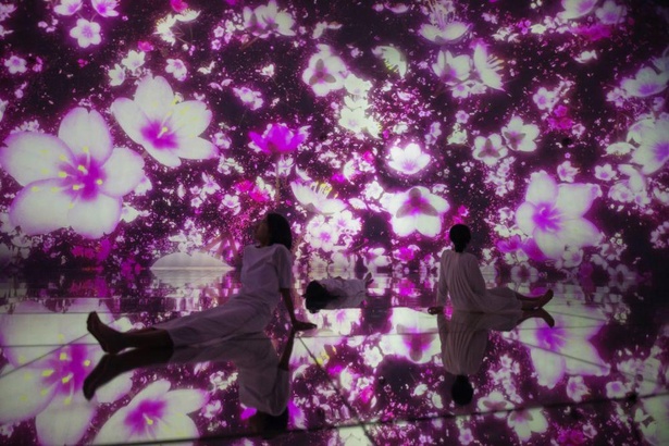 「チームラボプラネッツ TOKYO DMM」では、期間限定で桜がテーマの作品が登場
