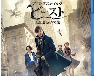 ”ファンタスティック・ビーストと魔法使いの旅”ブルーレイ＆DVDランキングなど全ジャンル堂々の初登場1位獲得！