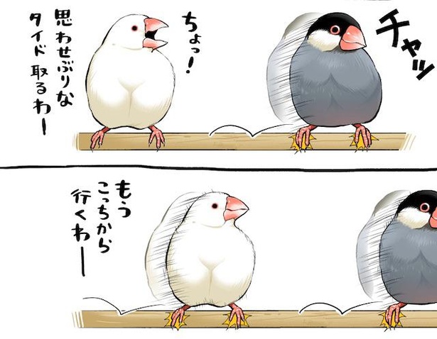 よりそう文鳥さん達(2)