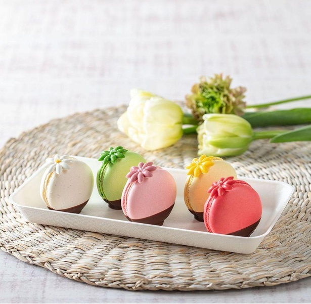 バニラ・ピスタチオ・桜・レモン・ストロベリーの春らしいマカロンが並ぶ「～5種類のカラフルマカロン～」(1600円)