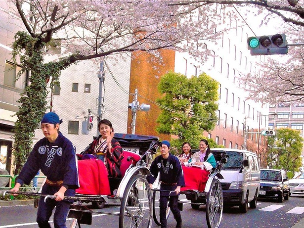 浅草の時代屋では2022年3月19日(土)より「人力車でさくら巡り〜浅草・すみだお花見人力車〜」ツアーを開催