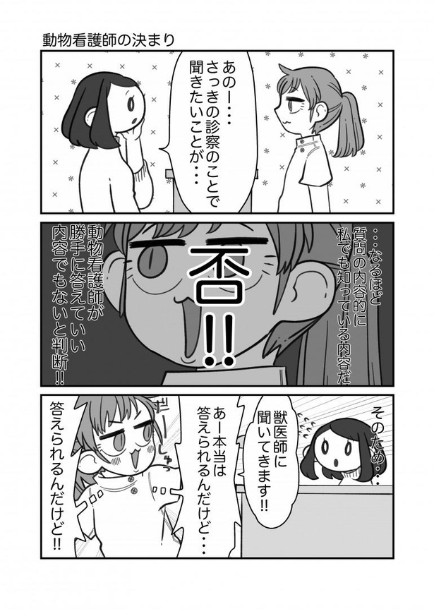動物看護師の決まり