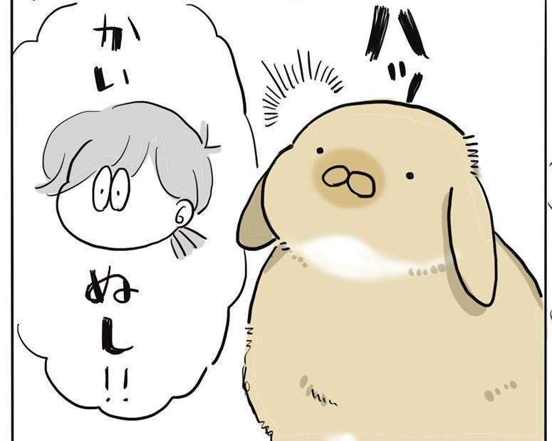 【漫画】ふわふわなウサギが可愛すぎる！ついつい甘やかしてしまうのは罪ですか？