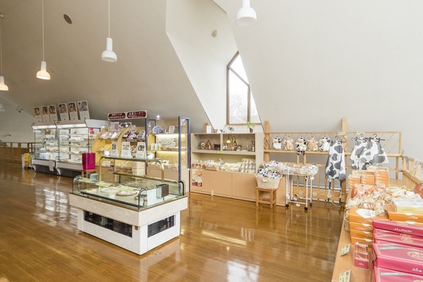 「富良野チーズ工房」のショップ内にはチーズのほか、バターなどの乳製品や、その乳製品を使ったお菓子なども販売しています。