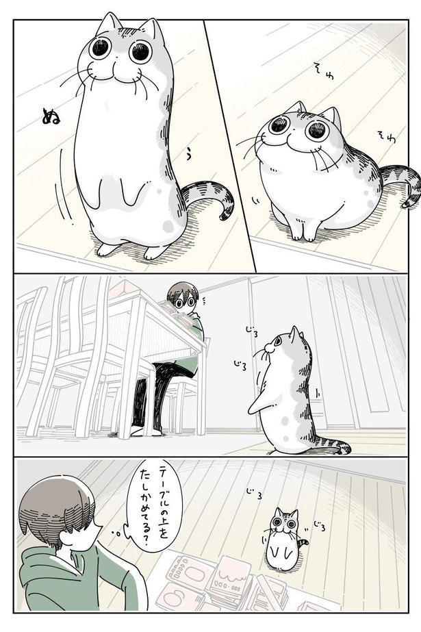 漫画 のび と立ち上がるソワソワ顔の猫ちゃん 何を見ているの 意表をつく愛猫の行動に共感の嵐 ウォーカープラス