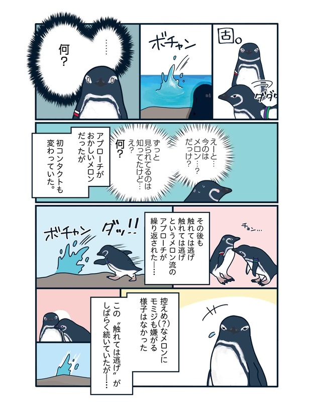 超奥手なペンギンの独特なアプローチ法「下町ペンギン物語」第六話(2/4)