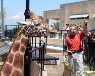旭山動物園の開園50周年記念イベントが続々スタート！　目玉は……