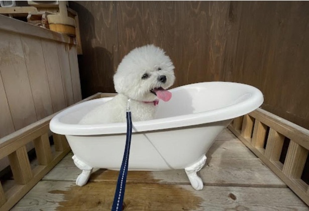 犬専用のバスタブ。体が汚れてもすぐ洗い流せるので安心 ※木の露天風呂は犬の入浴不可