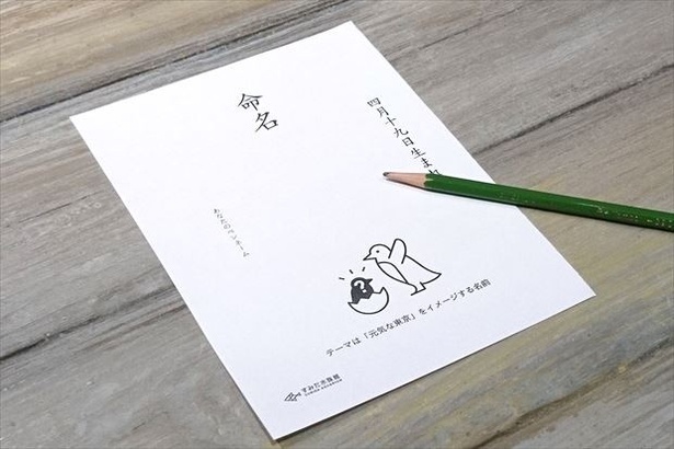 赤ちゃんの名前も募集！