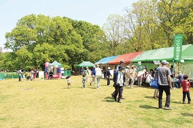4月29日、30日には「スプリングフェア」も開催/大阪市立長居植物園 