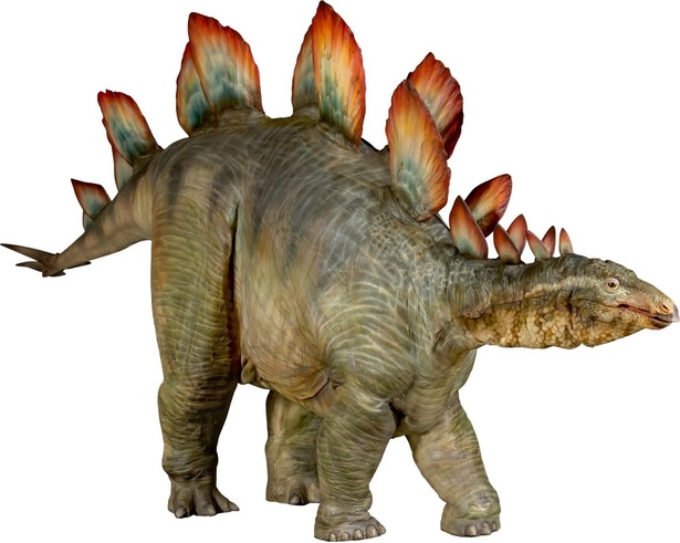 ステゴサウルス(全長 7.0メートル)