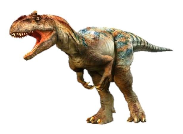 アロサウルス(全長 6.4メートル)