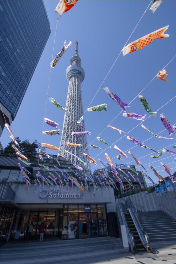 ファミリーで楽しめるイベントが続々 東京スカイツリータウンでゴールデンウィークの思い出をつくろう ウォーカープラス