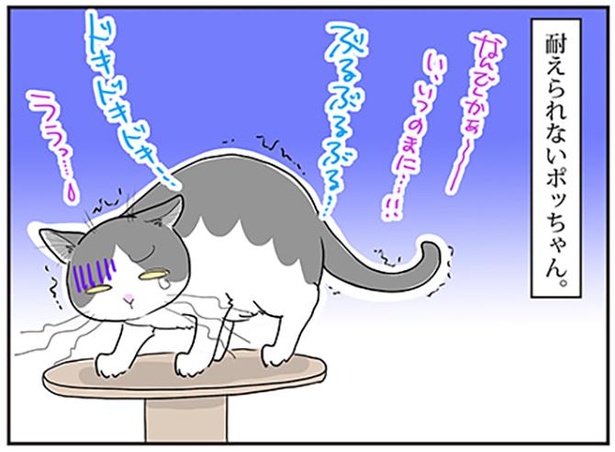 家の中に見知らぬ人が…!!ガタガタ震え“番猫”にならない上に…慌てっぷりはヘタレそのもの！