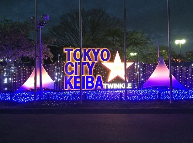 「東京シティ競馬」のロゴがデザインされたイルミネーションは、写真スポットにもぴったり