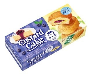 夏らしい爽やかさ！冷やしてもおいしいブルーベリーチーズケーキ