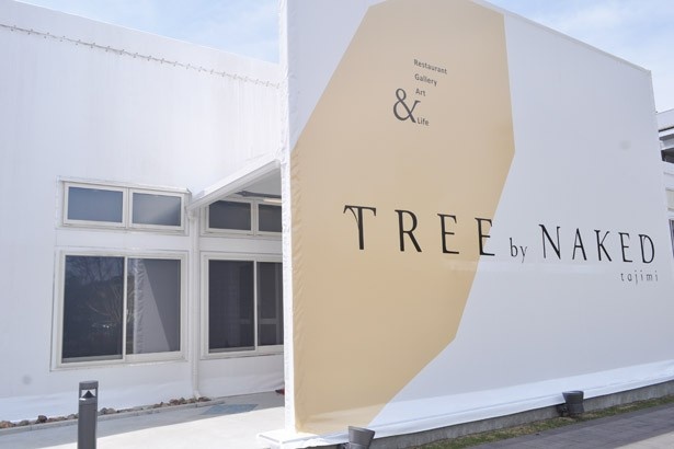 会場である「TREE by NAKED tajimi」はJR多治見駅北口すぐの場所に特設