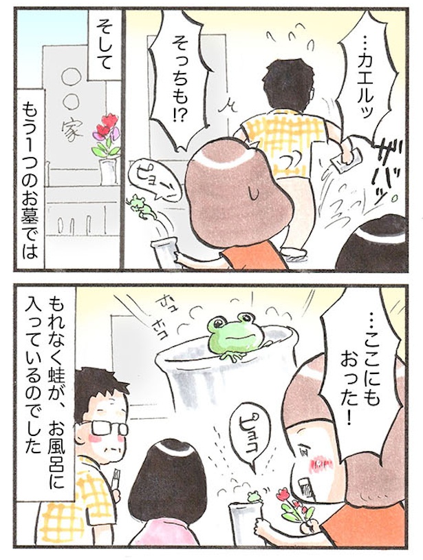 カエル(2)