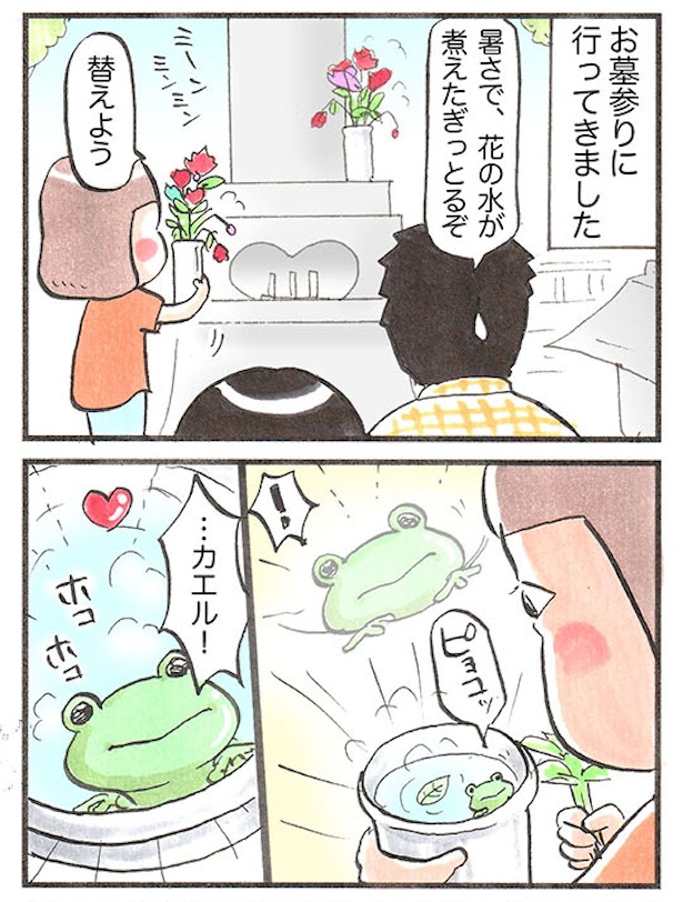 カエル(1)