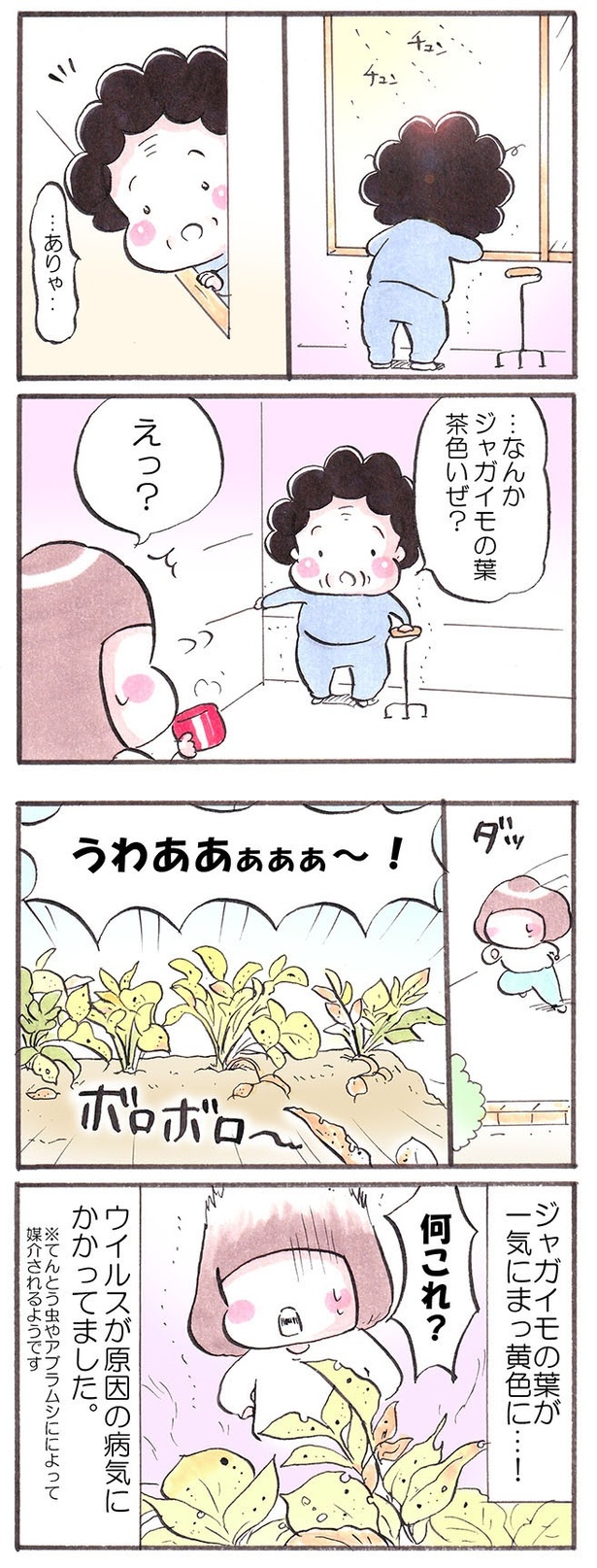 「畑の洗礼」1