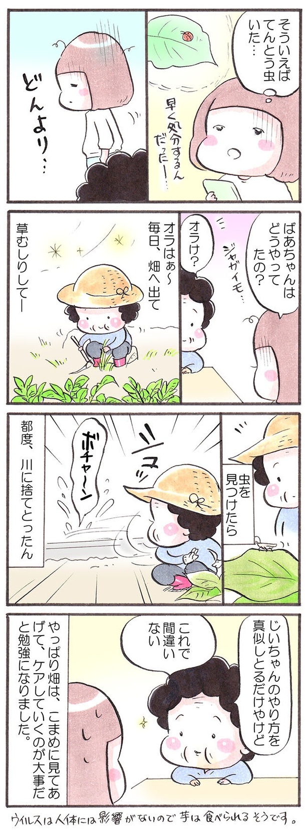 「畑の洗礼」2