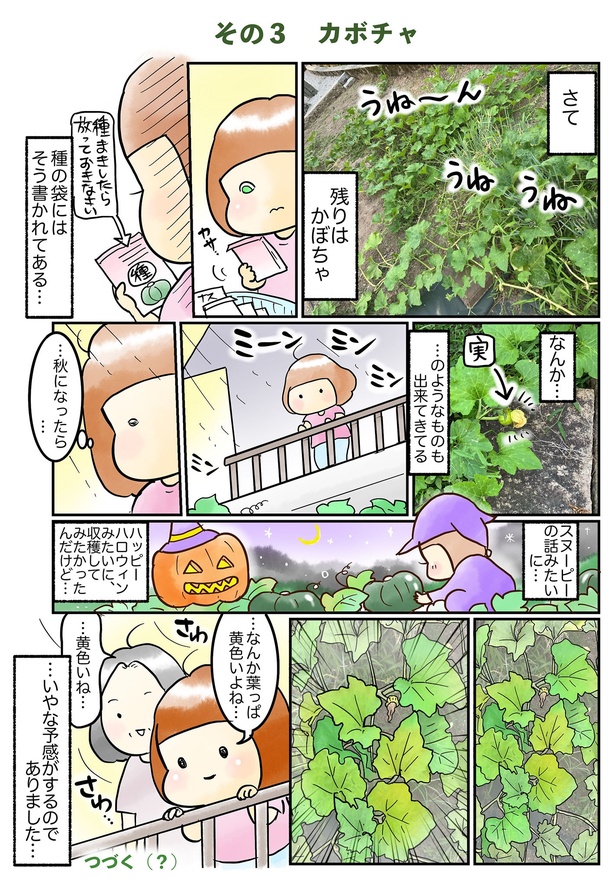 畑仕事(3)
