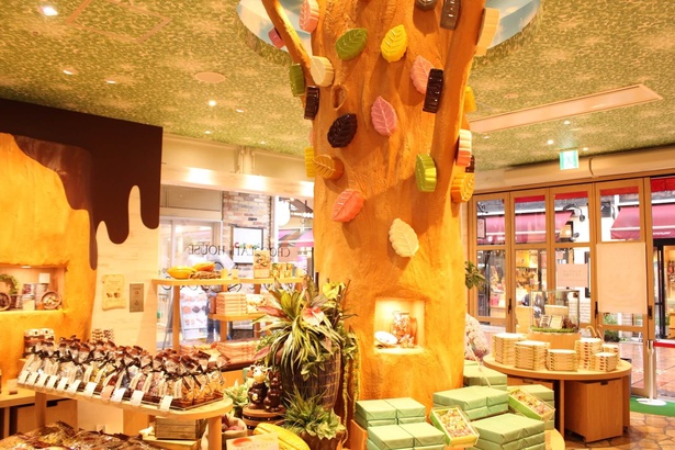 お店の真ん中にある大きなチョコレートの木が印象的