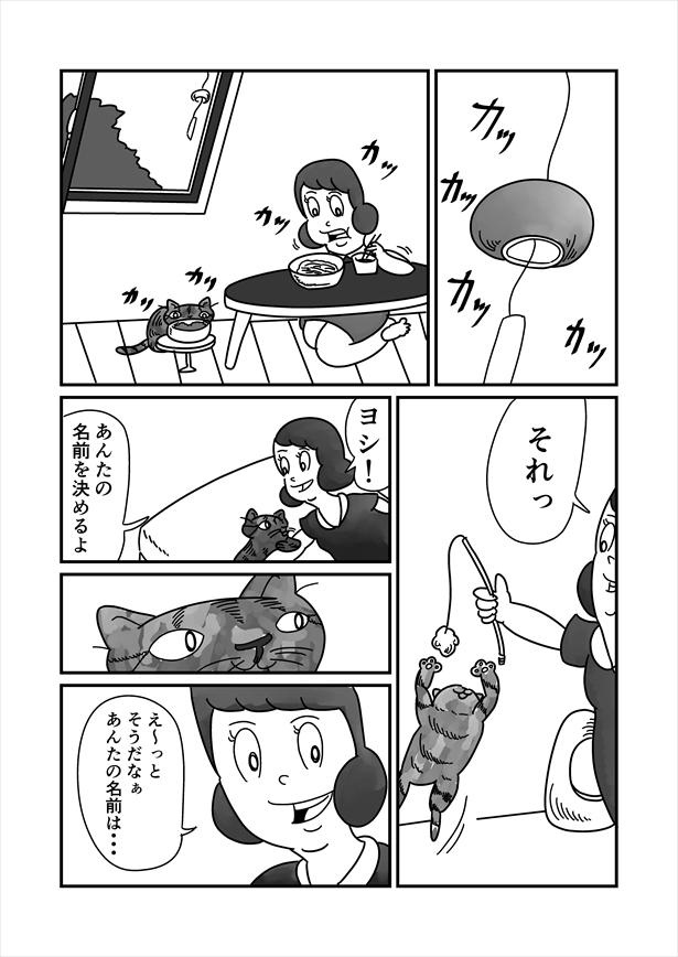「うまれかわらない」(11/12)