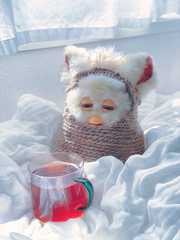 寒い日には温かい紅茶と一緒に