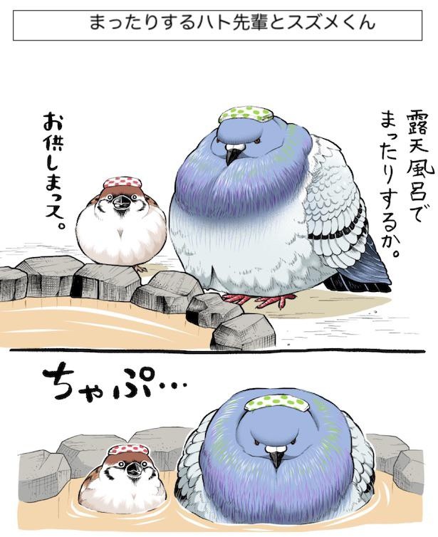 画像37 / 75＞【漫画】尊すぎる！鳥たちのトンデモ伝説を全部読む｜ウォーカープラス