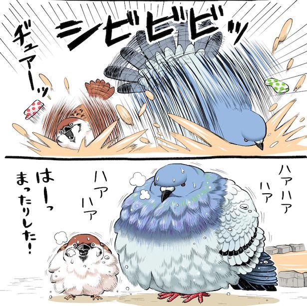 画像37 / 75＞【漫画】尊すぎる！鳥たちのトンデモ伝説を全部読む｜ウォーカープラス