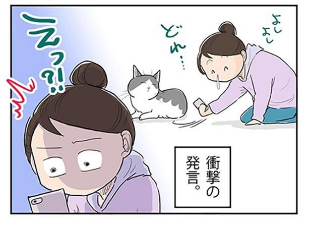猫語翻訳アプリをポッちゃんに使ってみたら…！「ま、まさかこの子、私のことを…」身の危険を感じた翻訳とは…？