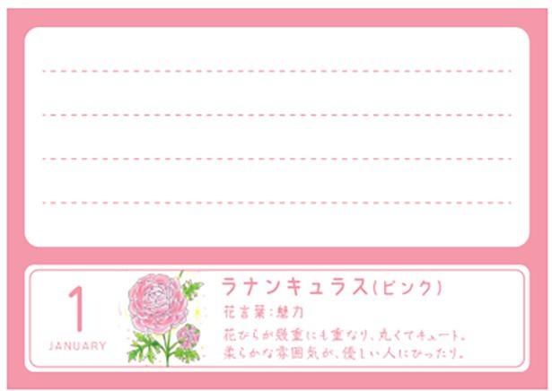 「12ヶ月の誕生花カード」の裏面には、花言葉などが書かれており、読む楽しさも