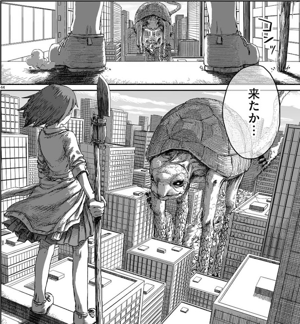 GIANT TORTOISE KILLING(83/172)