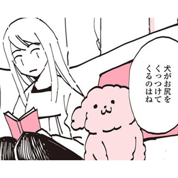 漫画 真夏にモコモコのお尻をくっつけてくる愛犬 その理由とは うちのトイプーがアイドルすぎる 1 2 ウォーカープラス