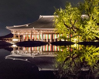 今しか楽しめない夜の国宝！ライトアップされた京都・西本願寺が美しすぎると話題！