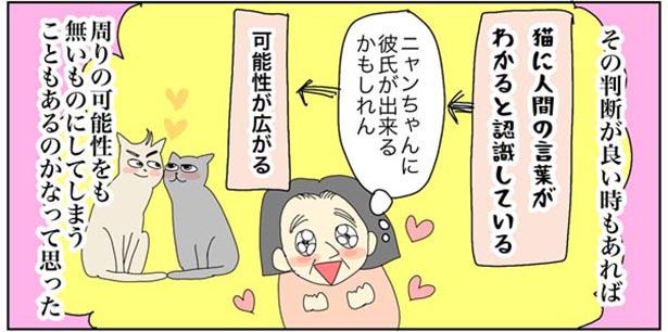 「猫にも説明を」17/20